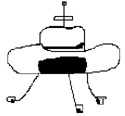 stetsonbolide